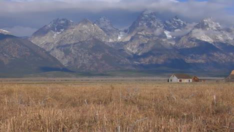 an old barn rises out of a prairie with the grand tetons in the background 7