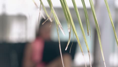 close-view-of-green-palm-leaf-against-blurred-young-woman