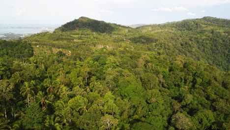 aerial above unpolluted natural environment in south east asia thailand koh samui beach resort travel holiday destination