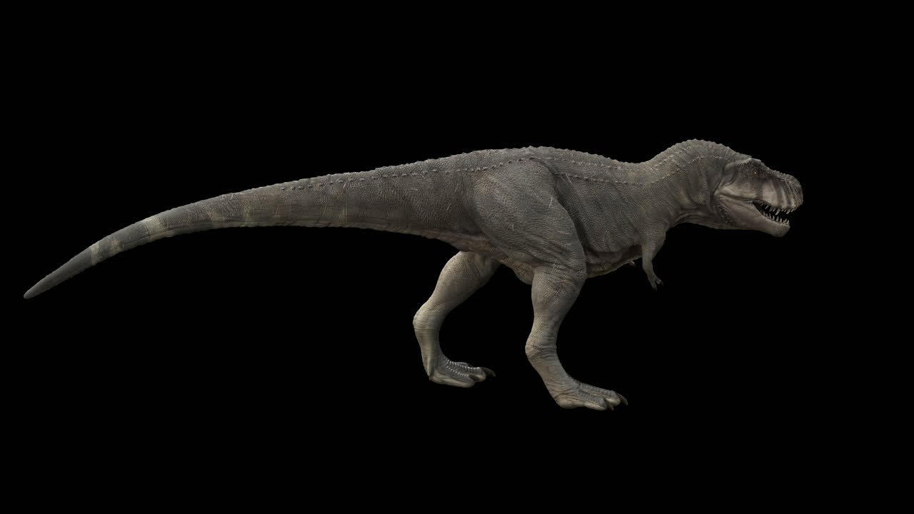 공 트렉스 루프는 알파 채널로 고 있습니다.