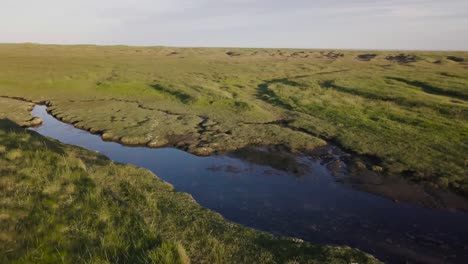 Aerial-Footage-of-Sheep-in-the-Grass-Next-to-River-During-Sunny-Summer-In-Snaefellsness-Peninsula,-Iceland