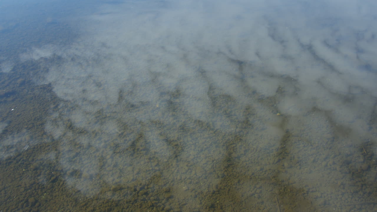 shot of Rollesby Broad with sky reflecting in the water taken from the A149 at Ormesby St Margaret