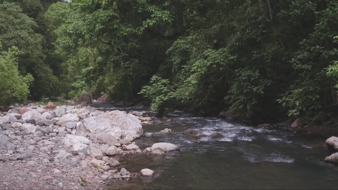 Fiume nella giungla di Sumatra