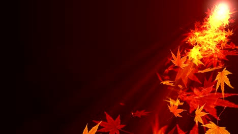 spin of autumn leaves,maple,cg animation,loop