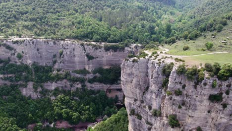 aerial shot of a tall cliff small waterfall dirt road near dense forested area side mountain