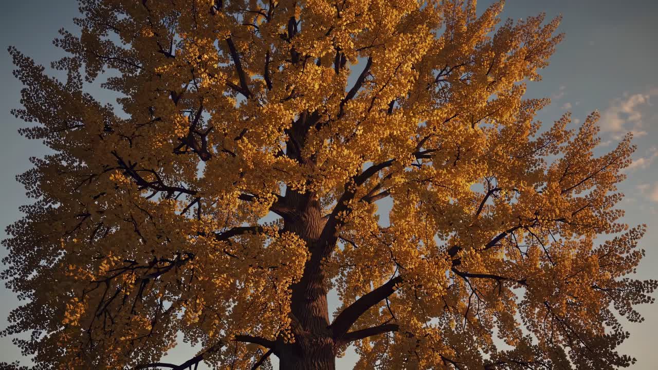 Golden ginkgo leaves creating vibrant canopy against serene sky, capturing ethereal beauty of autumnal transformation with stunning natural color palette and peaceful landscape essence