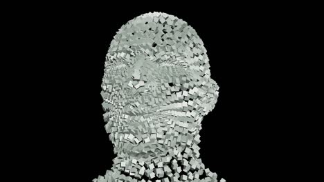 human head from rotating cubes transparent 4k.