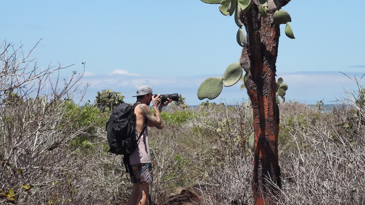 배낭 여행자가 갈라파고스의 산타 크루즈에서 opuntia galapageia의 사진을 찍는 남성 사진 작가