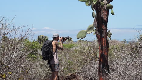Männlicher-Fotograf-Mit-Rucksack-Tourist,-Der-Fotos-Von-Opuntia-Galapageia-In-Santa-Cruz-Auf-Den-Galapagos-Macht