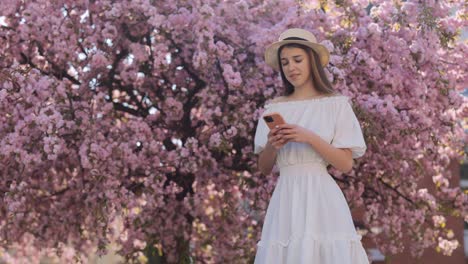 teenage girl using phone under cherry blossom tree