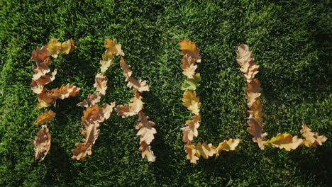 oak leaves lay out on the green grass the inscription fall. the coming of autumn