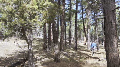 un joven fotógrafo caminando por el bosque cerca del gran cañón en arizona, estados unidos