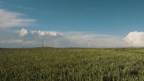 wind generator farm in fields blown by summer breeze in gori, georgia