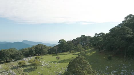 Aerial-view-of-vegetation-and-forest-in-the-mountains,-beautiful-mountain-range-landscape-background