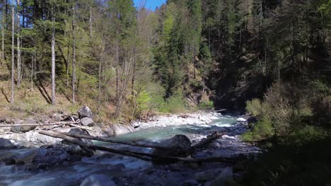 4k aerial drone flight next to small pine trees towards beautiful mountain river surrounded by forest