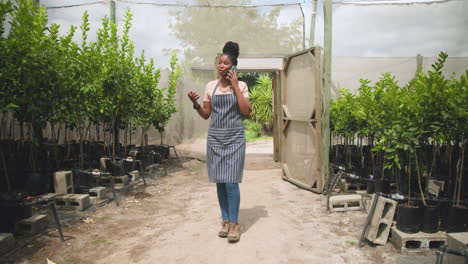 african american woman in apron walking in plant nursery, talking on smartphone, in greenhouse