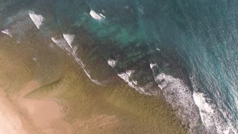 vista aérea de arriba hacia abajo de las olas salpicando contra la costa