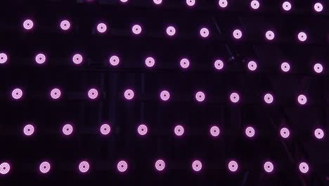 fila de pequeñas luces de led red rosadas parpadeantes redondas en la pared