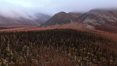 fall landscape of ogilvie mountain range in yukon, canada - aerial drone shot