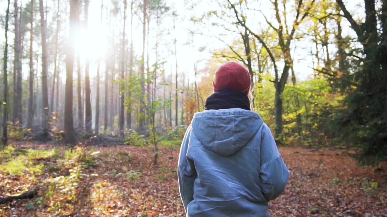 느린 동작:화창한 가을날 다채로운 숲을 걷는 여자