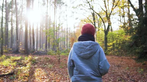 slow motion: woman walking through colorful forest on sunny autumn day