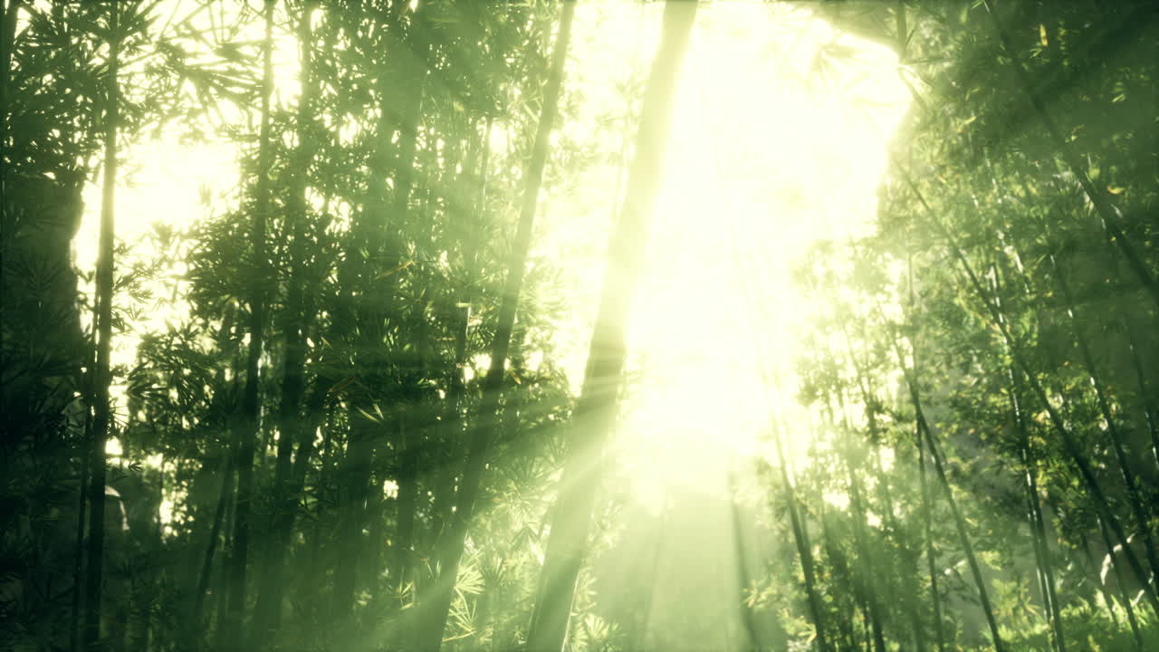 The sun's rays penetrate between the twigs and bamboo leaves