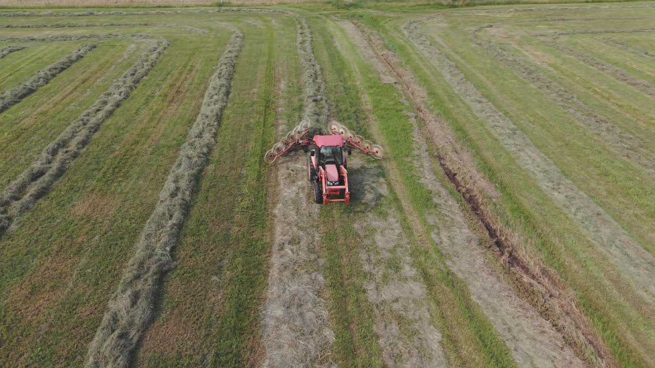 A farmer in northeast Wisconsin rakes recently cut hay into neat rows for harvest