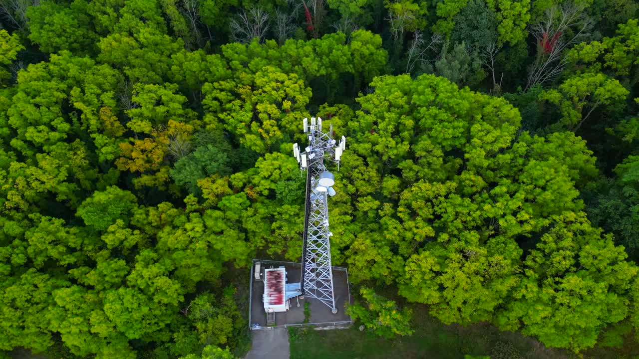 antena orbital de una torre de comunicaciones en medio de los árboles del bosque