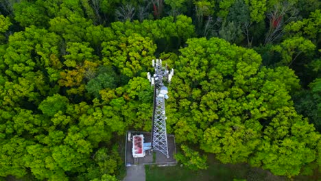 Antena-Orbital-De-Una-Torre-De-Comunicaciones-En-Medio-De-Los-árboles-Del-Bosque