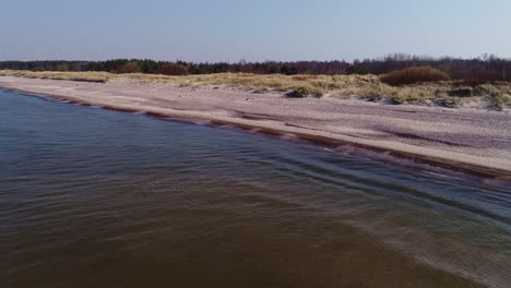 drone captures nida beach in latvia with stony shore, forest line, calm blue sea