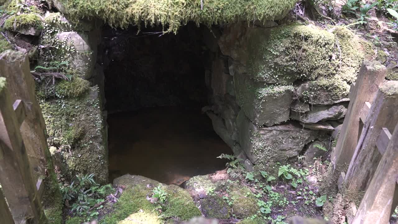 entrada a un santuario subterráneo cubierto de musgo en kioto, japón