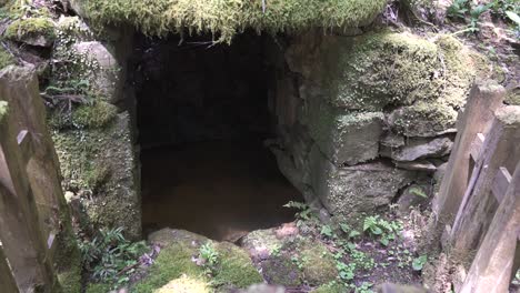 entrance to a moss covered underground shrine in kyoto japan