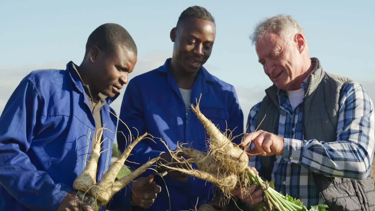농장에서 일하는 남성들