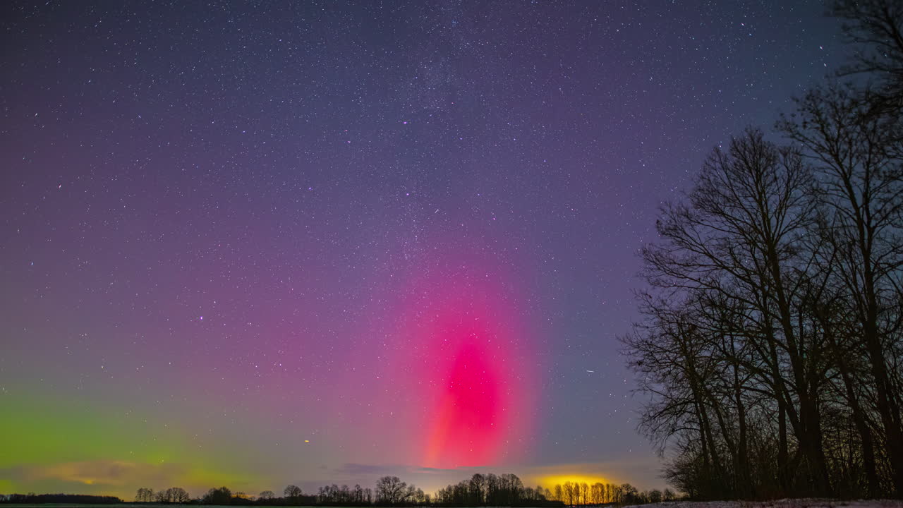 Time lapse of a colorful Northern Lights (Aurora Borealis) with a pink pillar and green glow dancing in a starry night sky above a winter field and trees