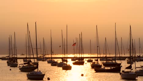 Sailing-Ships-in-Chicago-Sunset-2