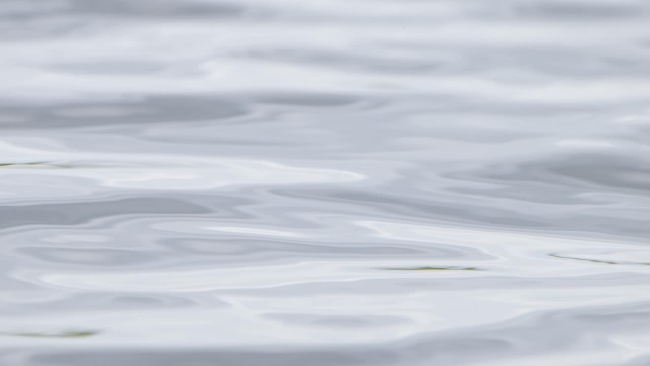 아침 바람이 호수에 불면 물이 졸졸 흐르고 파도를 만듭니다.