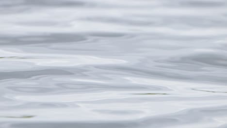 water rippling and creating waves as the morning wind blows at the lake