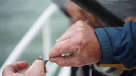 el hombre pone peces de cebo en el anzuelo de señuelo