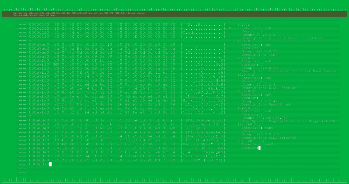 Terminal Window Displaying Nmap Network Scan Results