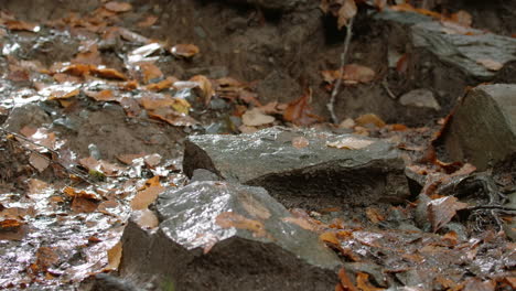 wanderstiefel auf einem nassen waldweg