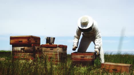 Imker-Arbeitet-Im-Bienenhaus