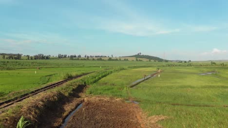 A-moving-forward-aerial-shot-of-train-tracks-running-through-lush-rice-fields-in-Africa