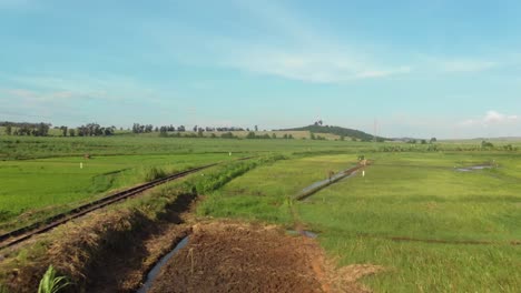 a moving forward aerial shot of train tracks running through lush rice fields in africa