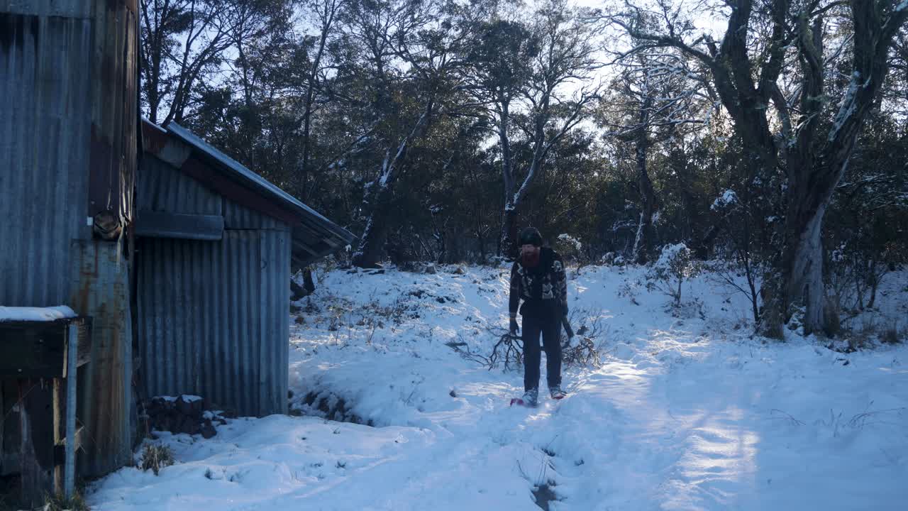 Boscaiolo che trasporta legna da ardere a un rifugio nella neve nelle Alpi Australiane.