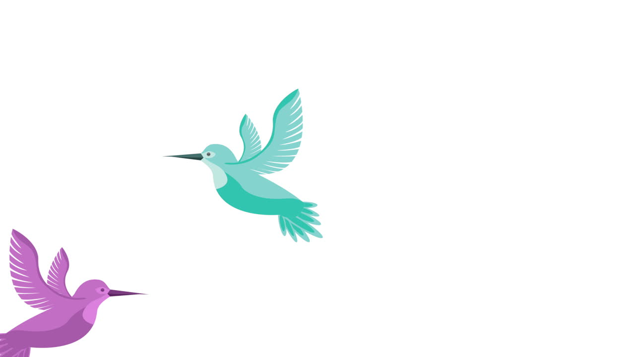 aves hermosas animales voladores animación