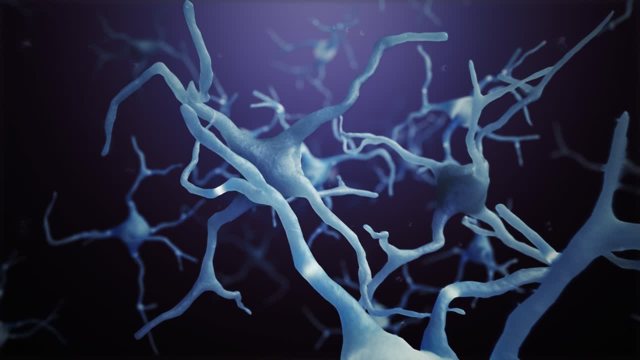 las conexiones de las células neuronales del bucle mundo