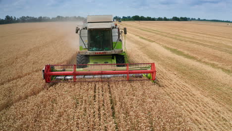 combine harvester working in wheat field