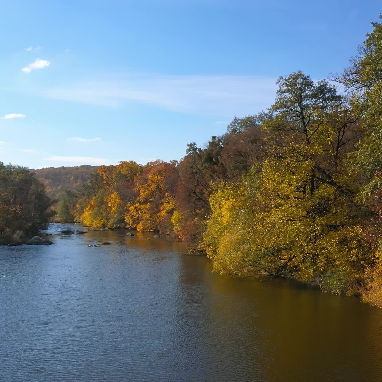 Beautiful autumn scenery. Calm blue river surrounded with yellow, red and orange tree under blue sky. Panoramic view