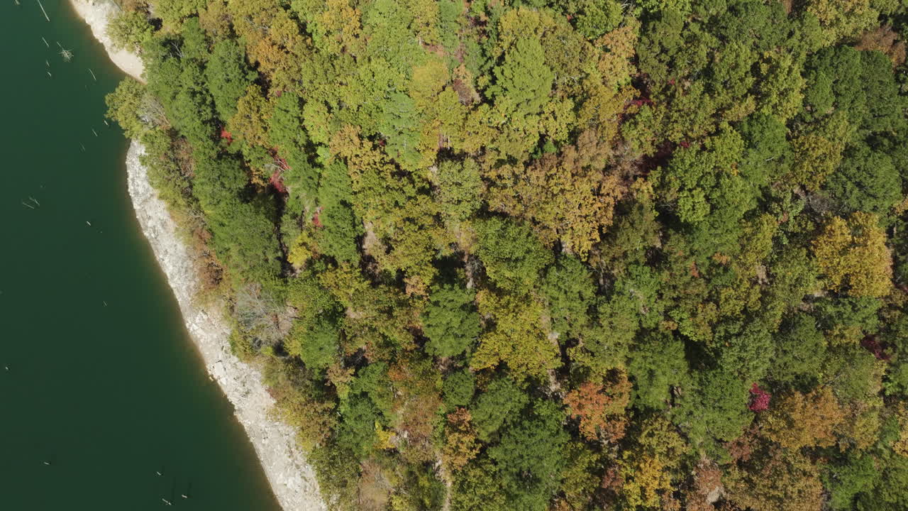 vista aérea de un denso bosque y un río en una zona de conservación en verano en arkansas, estados unidos.