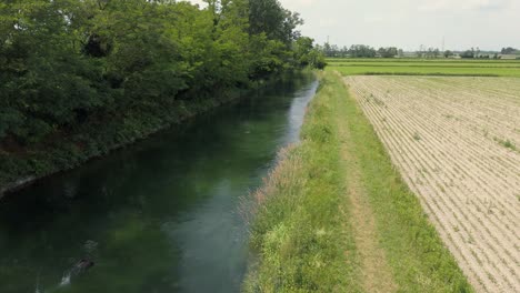 Erstellen-Sie-Eine-Aufnahme-Eines-Flusses-Mit-Verengtem-Wasser,-Der-Zur-Bewässerung-In-Landwirtschaftlichen-Feldplantagen-Verwendet-Wird